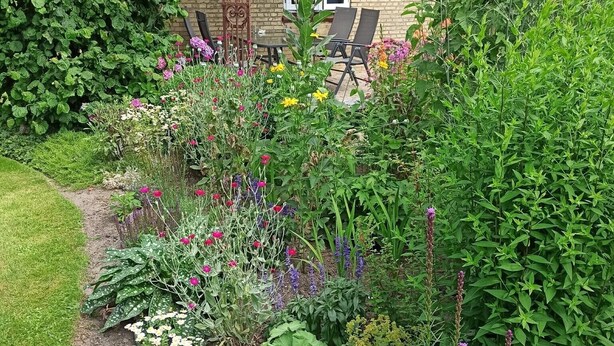 Un jardin avec une variété de plantes et de fleurs, un bâtiment en briques doté d’une fenêtre et des meubles d’extérieur.