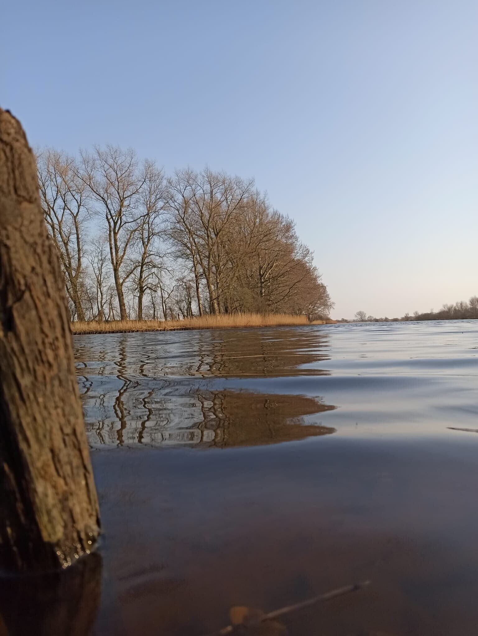 Eine zugefrorene Wasserfläche mit Bäumen im Hintergrund.