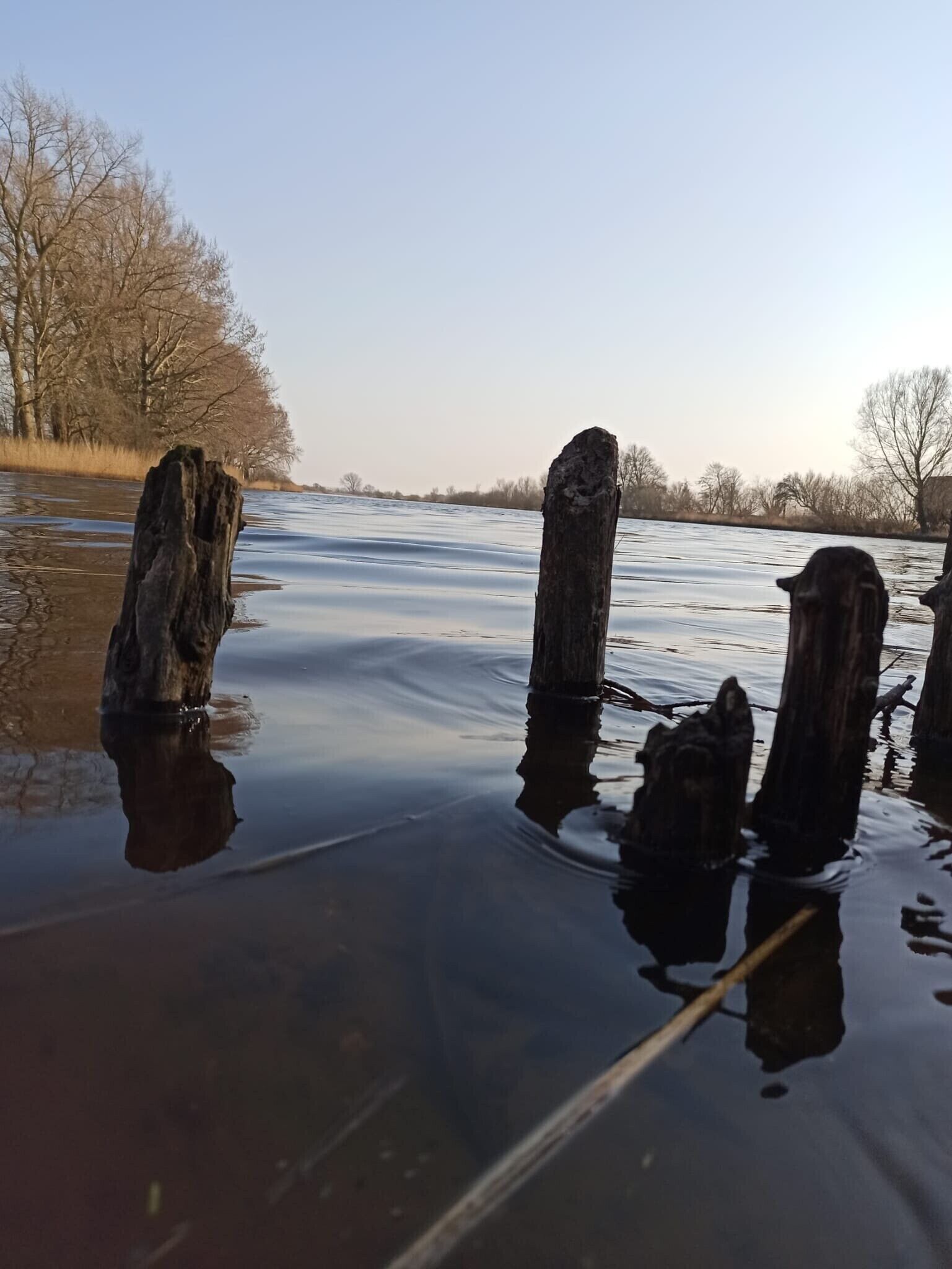 A body of water with wooden posts and leafless trees in the background.