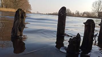 A body of water with wooden posts and leafless trees in the background.