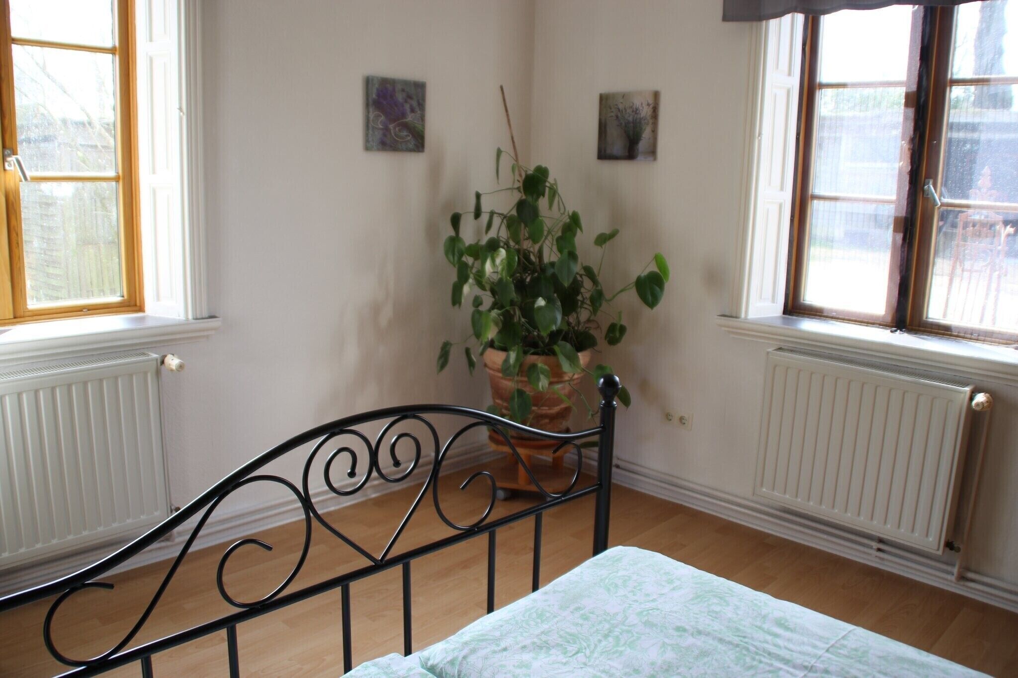 A room with a bed, a radiator, a window, and a potted plant.