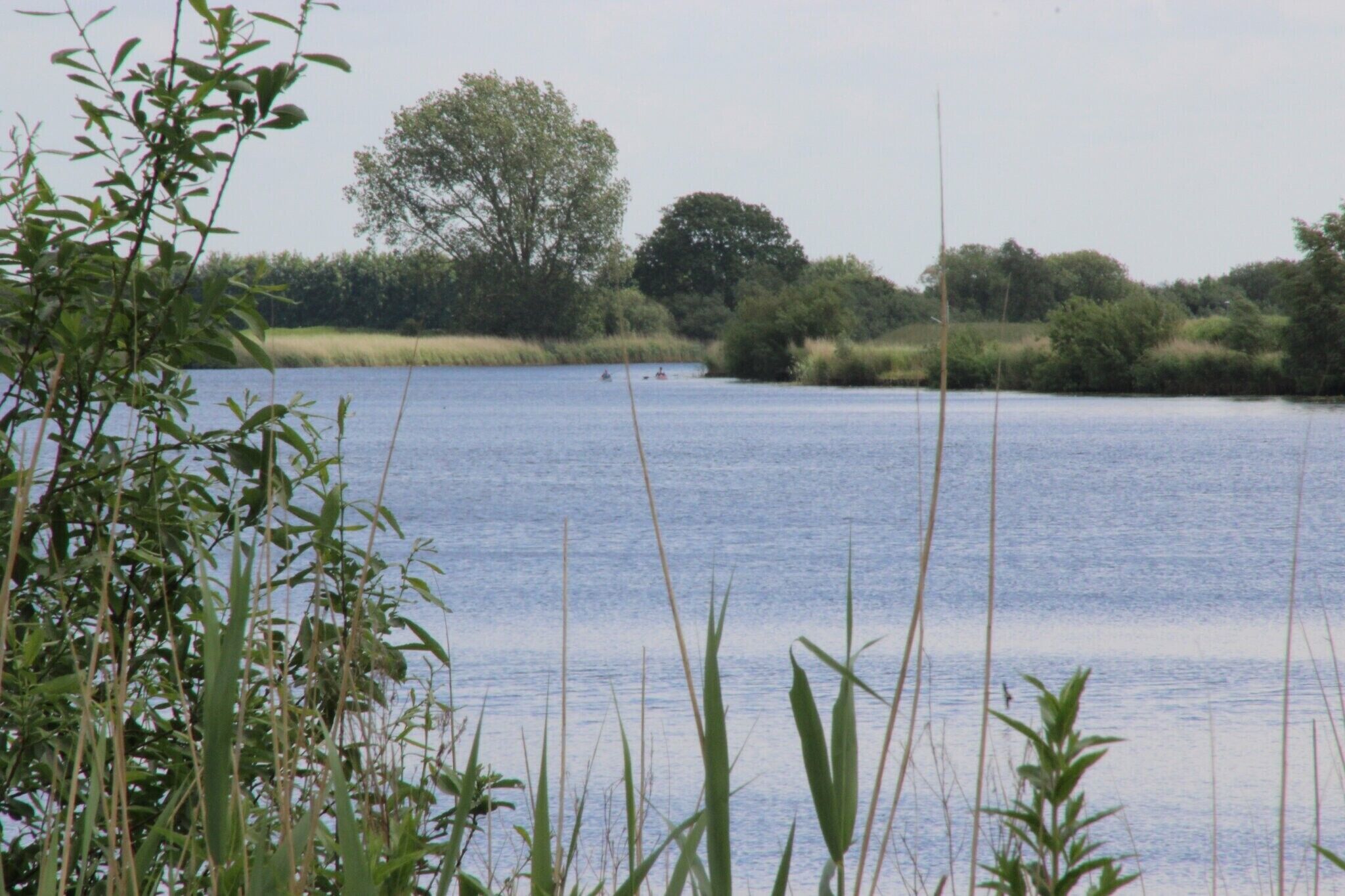 A calm lake with surrounding greenery and trees.