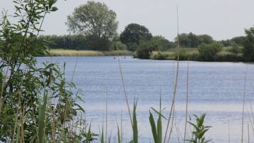 A calm lake with surrounding greenery and trees.