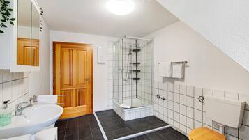 Chuveiro, secador de cabelo, toalhas de banho