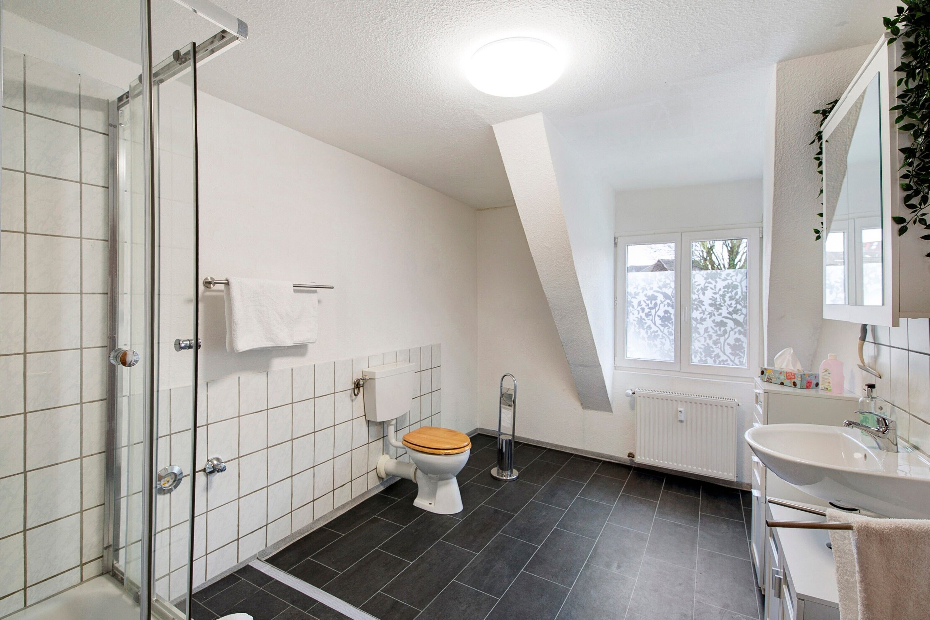 Suihku, ilmaiset hygieniatuotteet, hiustenkuivaaja, pyyhkeet