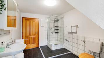 Een douche, gratis toiletartikelen, een haardroger, handdoeken