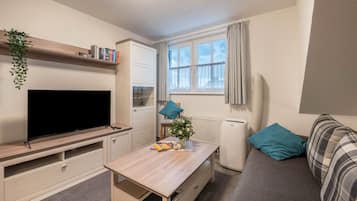 Fernseher