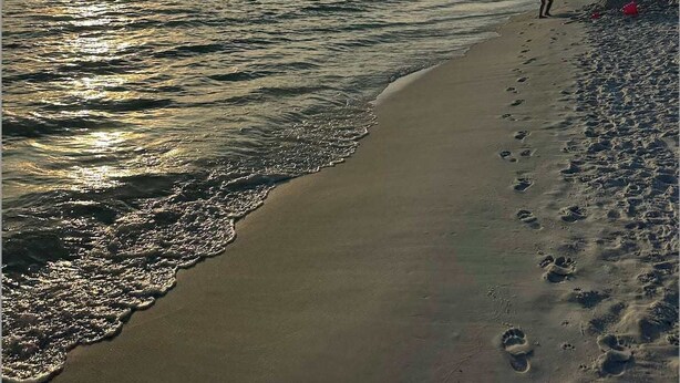 Une plage avec un ciel dégagé, où l’on peut admirer le coucher ou le lever du soleil.