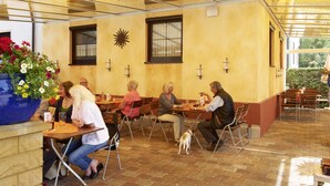 An indoor dining area with tables and chairs, a large window with a sun decoration, and a potted plant with flowers.