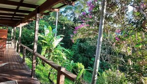 Property grounds - Spacious Family House with Luxury Outdoor Bath (Yandina Creek)