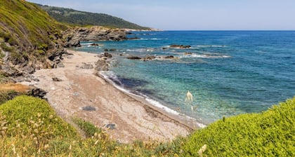 Nerissa Cottage - Skopelos Glossa