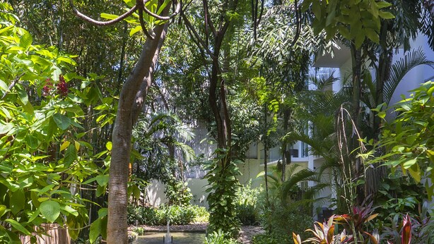 Un jardín con un estanque, rodeado de diversas plantas y árboles.