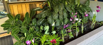 Secluded house, Opening special!