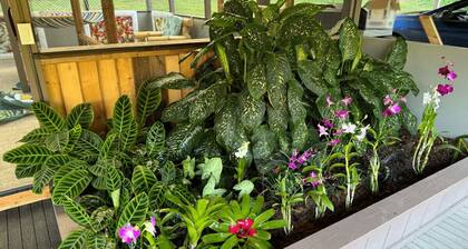 Secluded house, Opening special!