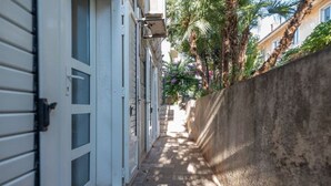 Un estrecho callejón con un edificio blanco a un lado y un muro de piedra al otro, con una palmera y flores de fondo.