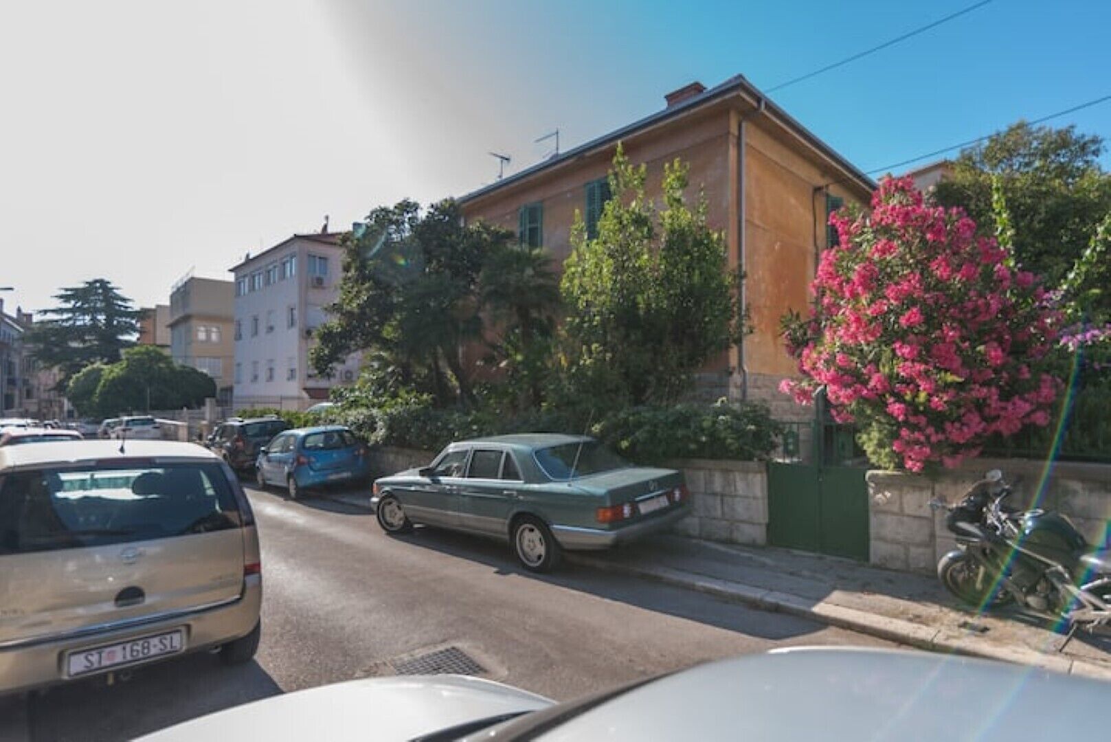 Vista de la calle con coches aparcados, un edificio con puerta verde y un árbol en floración de color rosa.