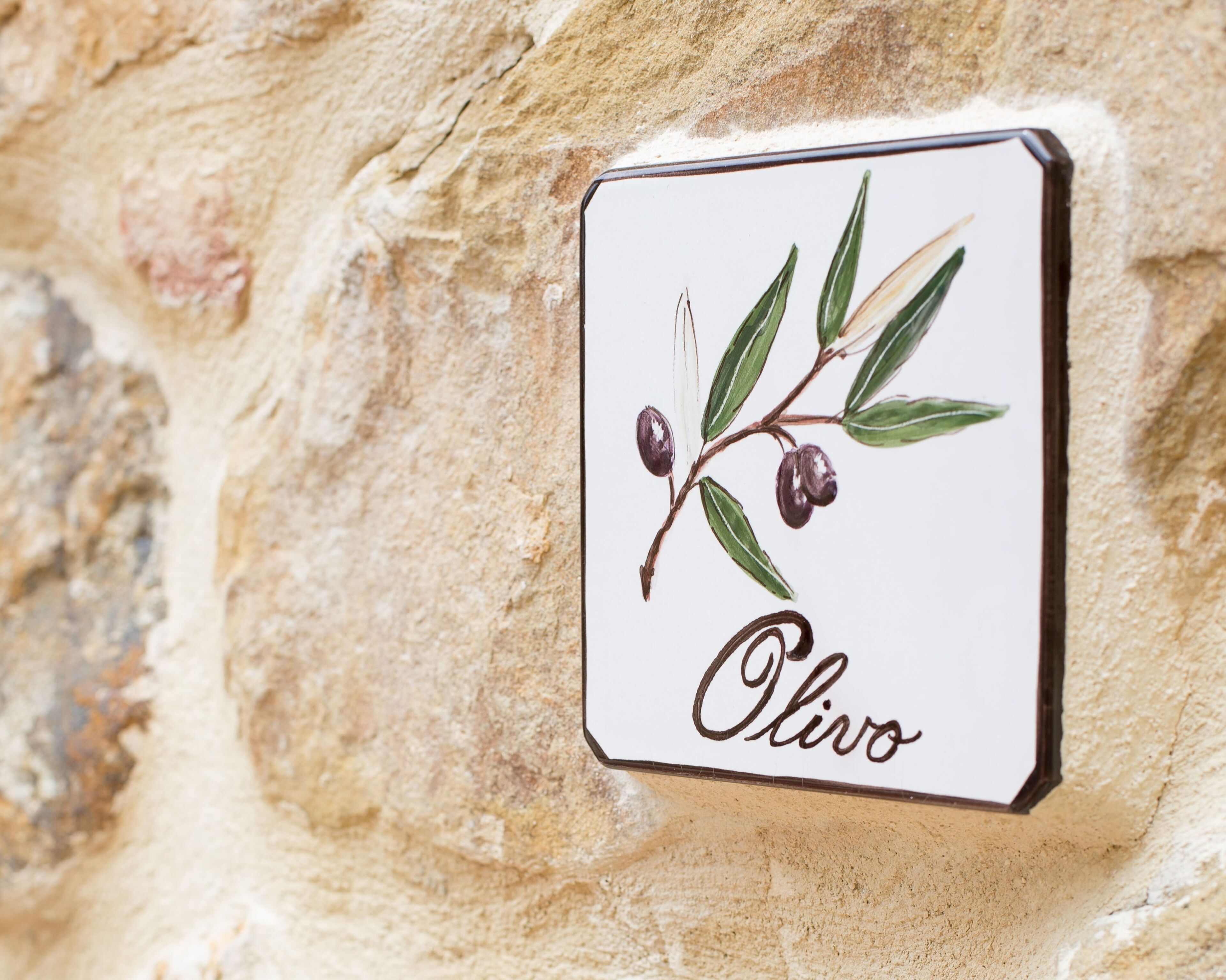 A sign with a branch of olives and the word "Olive" on a stone wall.