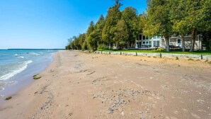 A beach with a row of trees and a building with large windows.