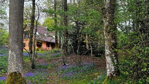 A house surrounded by trees and a forested area with purple flowers. - St Georges, Gîte de Campagne, 50 Minutes de Chartres, 1h du Mans 1h50 de Paris (Arcisses)