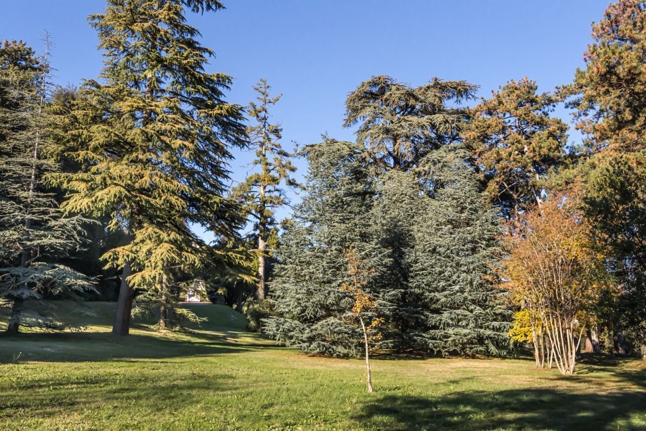 Parco della struttura