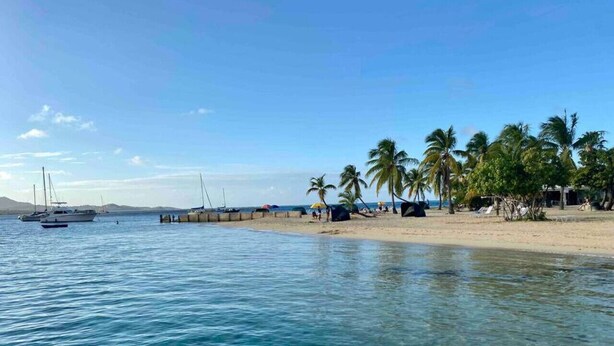 A beach with clear blue water, palm trees, and boats. - The Danish Nydam - A Sailor’s Mooring (Christiansted)