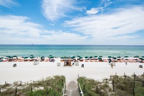 A beach with rows of sun loungers and umbrellas, a small kiosk, and a clear view of the ocean. - Emerald Isle #2103! 2/2 Gulf Front with Amazing Views of the Gulf of Mexico! (Panama City Beach)