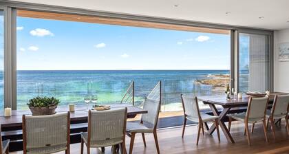 Seagull - Beach front in Mollymook,