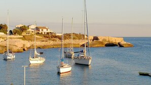 Un port esportiu amb diversos velers amarrats.