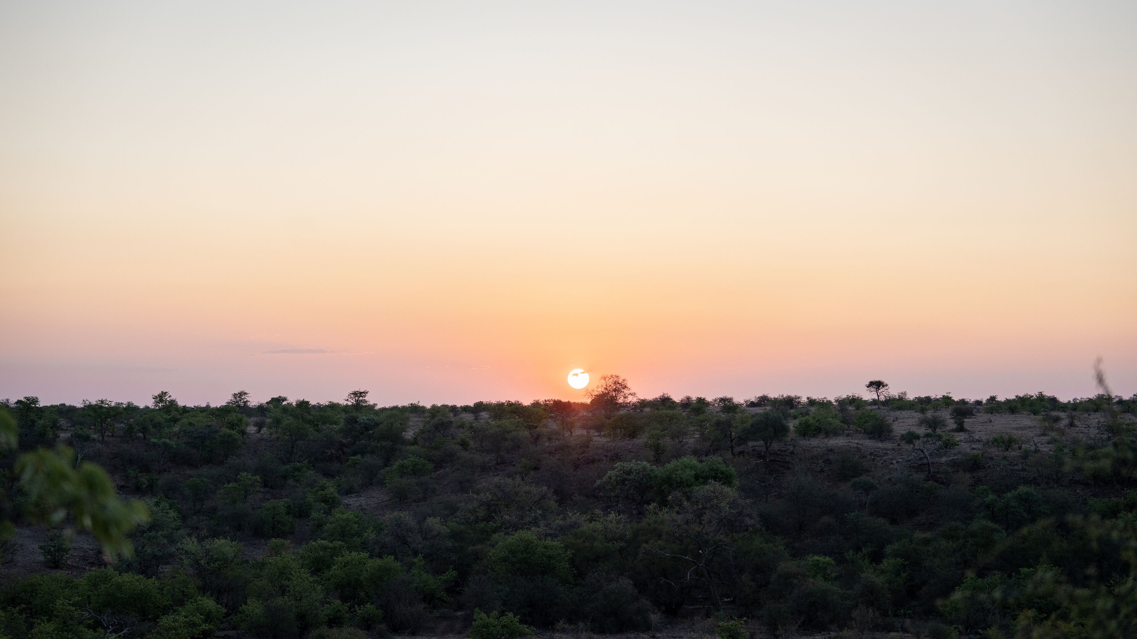 A sunset over a savanna landscape with scattered trees and a clear sky.