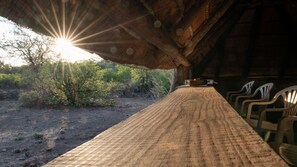 Game viewing - Mashatu Tent Camp - Mashatu Game Reserve (Lentswelemoriti)