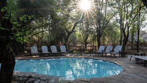A swimming pool surrounded by lounge chairs and trees, with sunlight filtering through. - Mashatu Tent Camp - Mashatu Game Reserve (Lentswelemoriti)