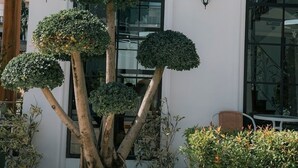 Un edificio con ventanas arqueadas y un jardín cuidado con árboles de topio podados.