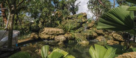 Un jardín natural con un estanque, rocas y follaje tropical.