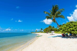 Una playa con agua azul cristalina, una orilla arenosa y palmeras.