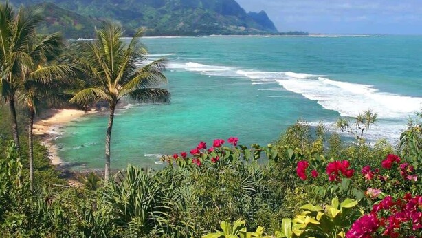 A coastal landscape with a beach, palm trees, and a mountain in the background.