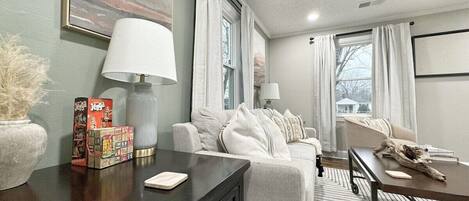 TV, fireplace, books