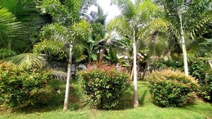 A lush garden with various tropical plants and trees. - White Villa (Tangalle)