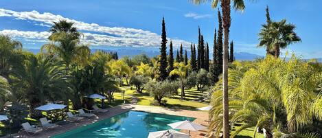 A pool area with lounge chairs and umbrellas, surrounded by palm trees and other greenery.