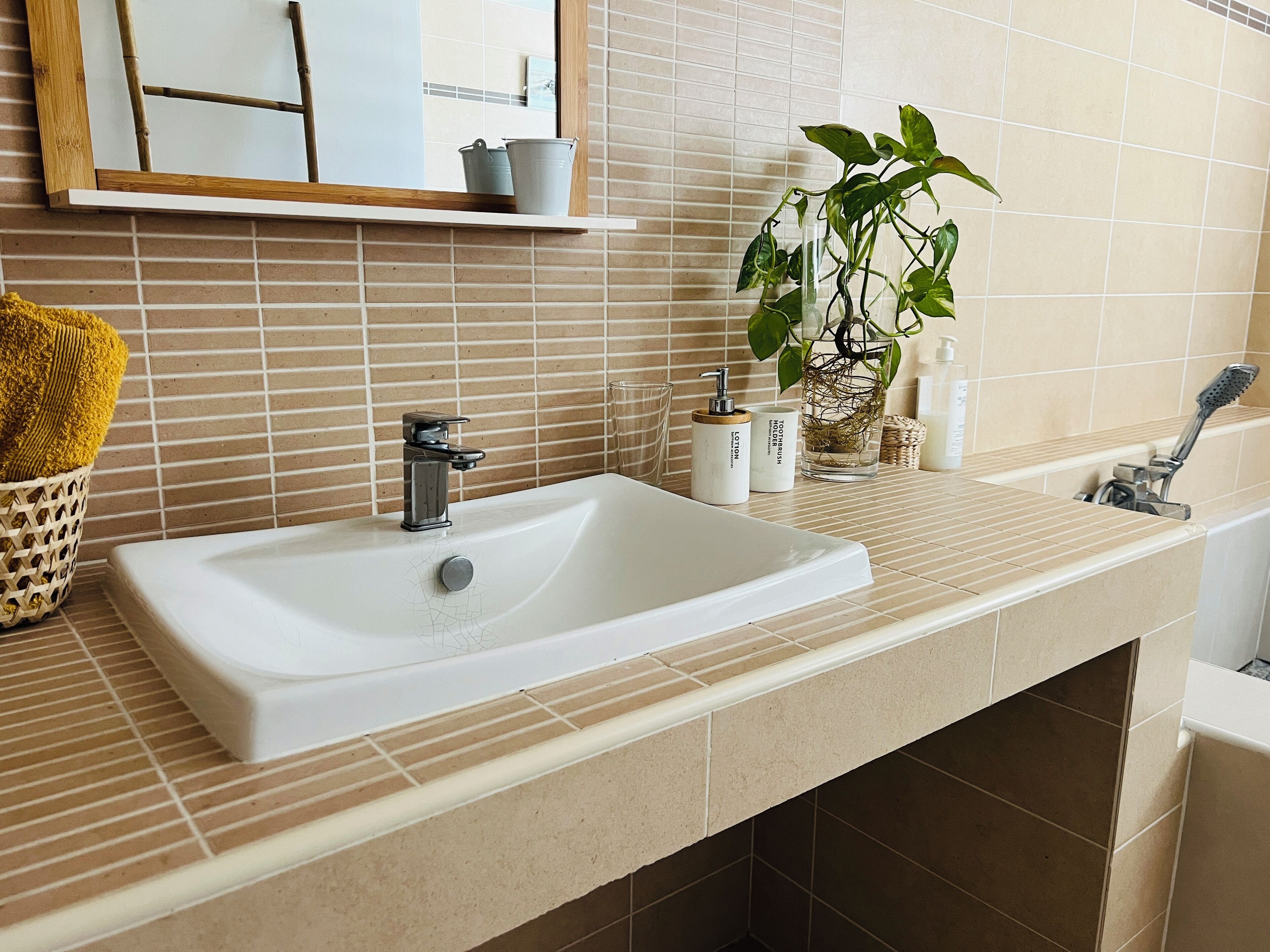 Une salle de bain avec un lavabo blanc, un miroir, une plante et des articles de toilette posés sur le comptoir.