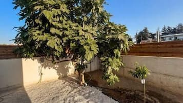 Àrea exterior de l'allotjament