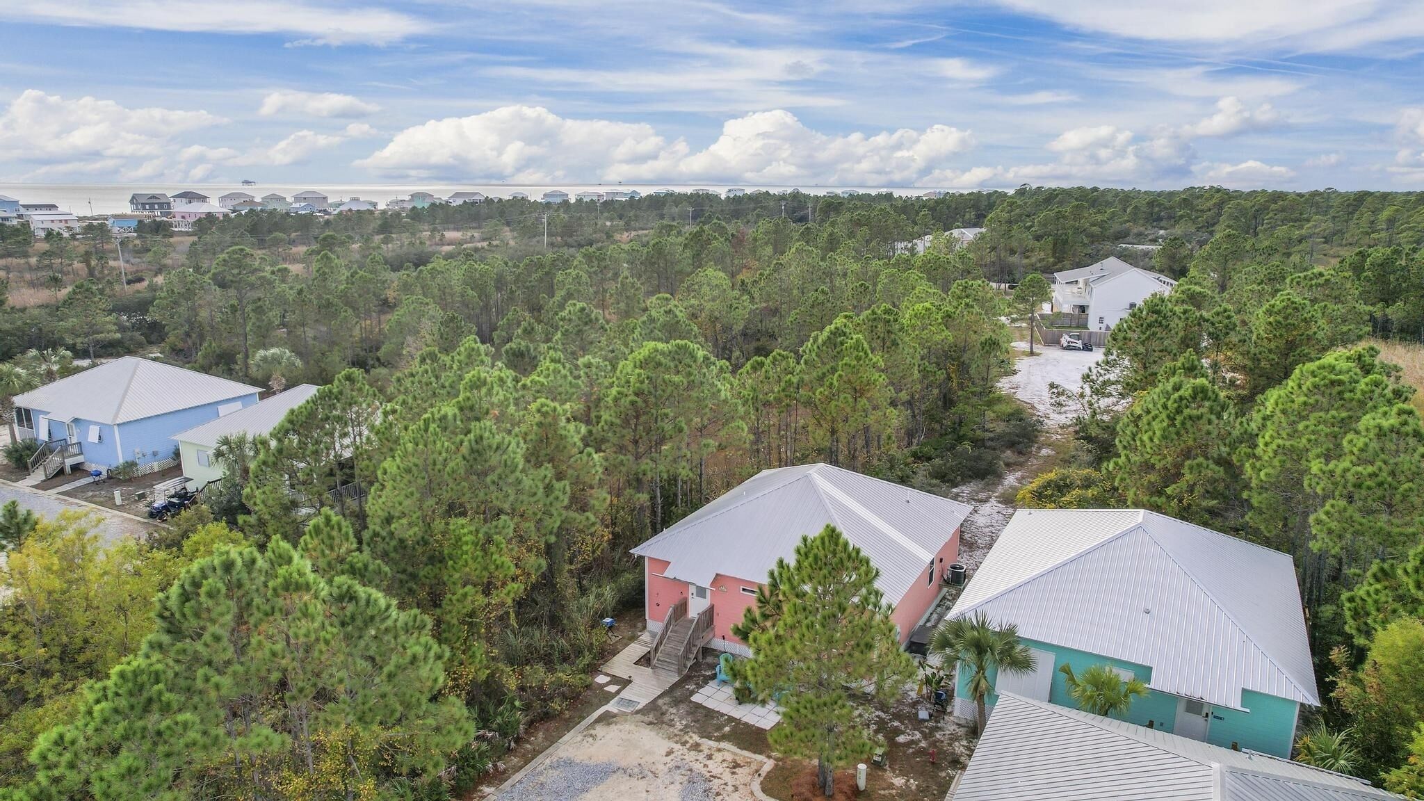 A residential area with multiple houses surrounded by dense pine trees.