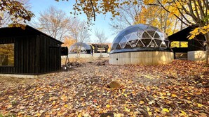 A dome-shaped building surrounded by trees with yellow leaves, a wooden structure to the left, and a clear sky. - villa Fukuza (Naganuma)