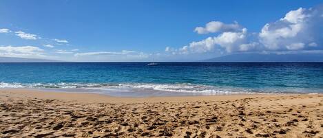Chaises longues, serviettes de plage