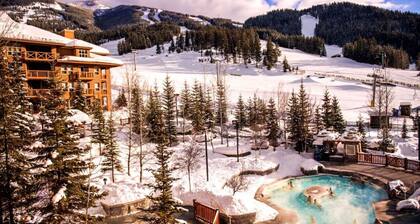 New Luxury, Ski in/out, Private Hot Tub, Sleeps 12