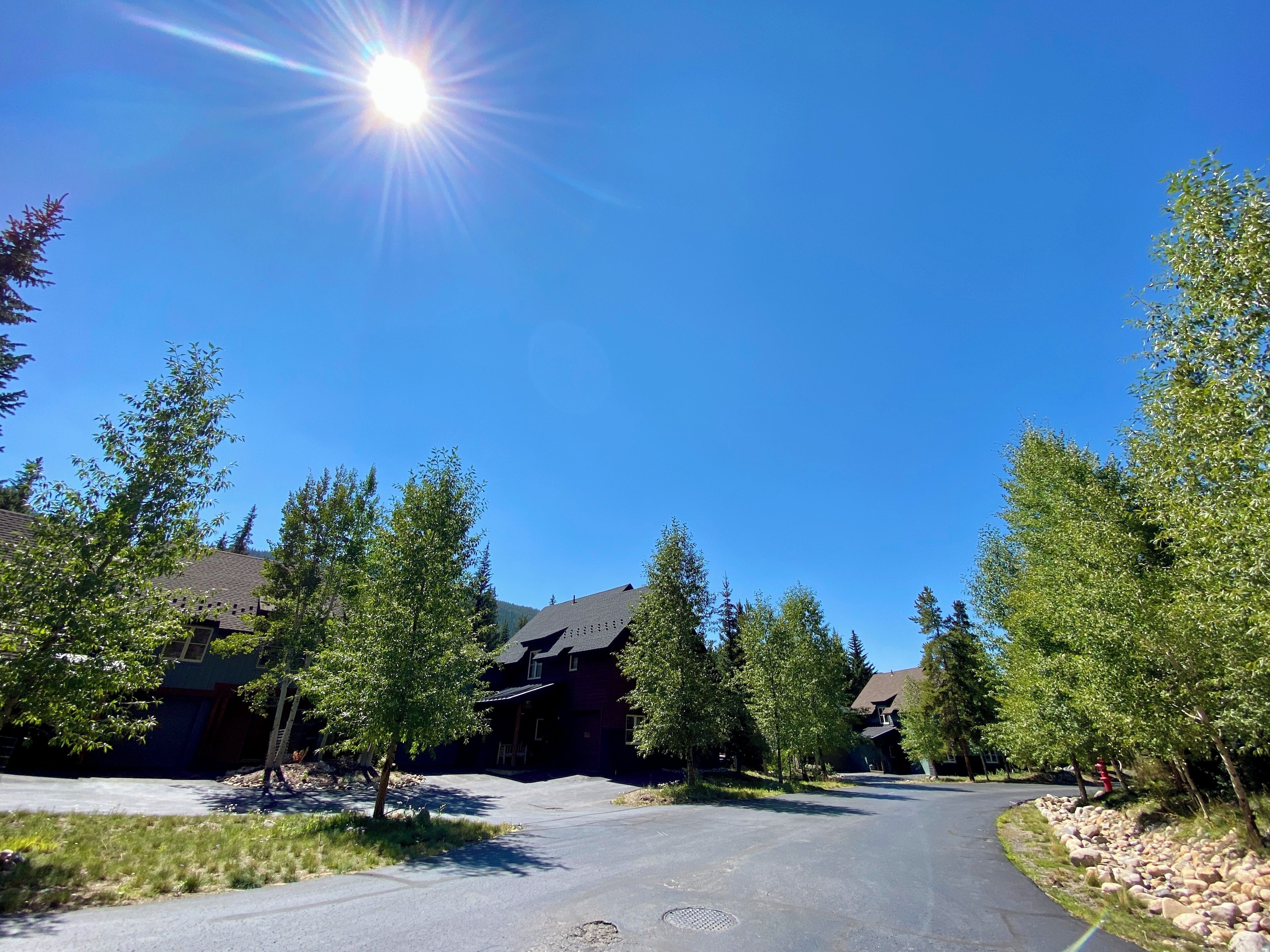 A residential street with houses, trees, and a clear sky.