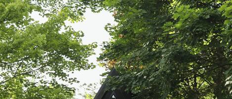 Overnatningsstedets område