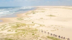 A coastal landscape with a sandy beach and dunes. - Bel Air, 8A Ocean Ave - pet friendly, water views and air con (Anna Bay)