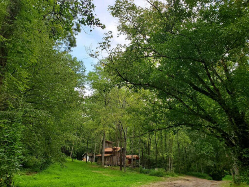 The Lookout Punkin Hollow Resort, Stanton, KY Vacation Rental Cabin