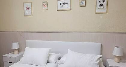 Apto acogedor Barrio Salamanca