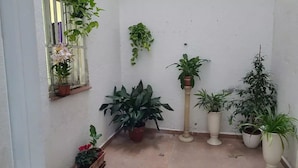 Un arreglo de plantas en macetas en una esquina, con una ventana y una pared blanca.